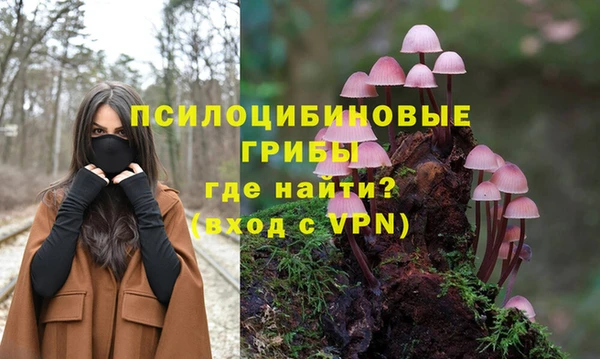 ГАЛЛЮЦИНОГЕННЫЕ ГРИБЫ Бородино