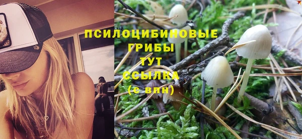 ПСИЛОЦИБИНОВЫЕ ГРИБЫ Верхний Тагил