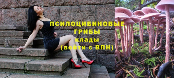 дживик Бугульма