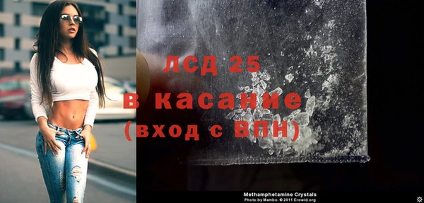ГАЛЛЮЦИНОГЕННЫЕ ГРИБЫ Бородино