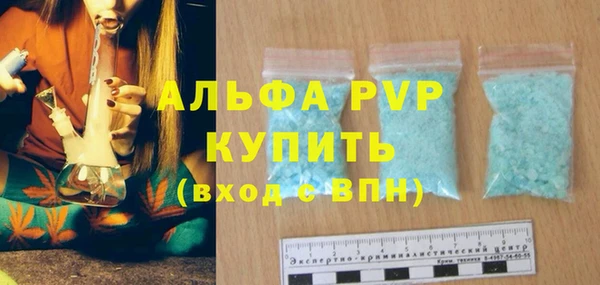 ГАЛЛЮЦИНОГЕННЫЕ ГРИБЫ Бородино