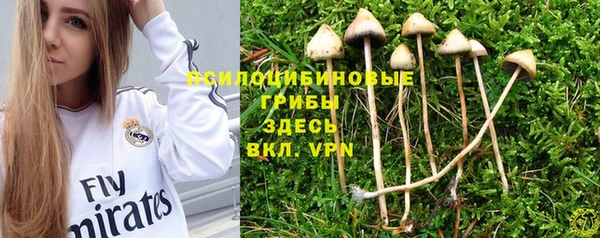 дживик Бугульма