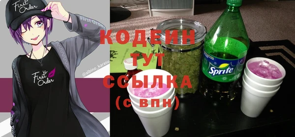 ГАЛЛЮЦИНОГЕННЫЕ ГРИБЫ Бородино