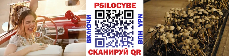 Псилоцибиновые грибы Psilocybine cubensis  Купить где  Нижние Серги 